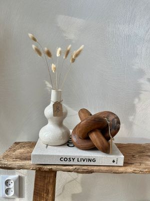 Ring ornament mango hout