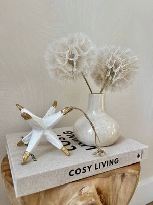 Papier maché ster