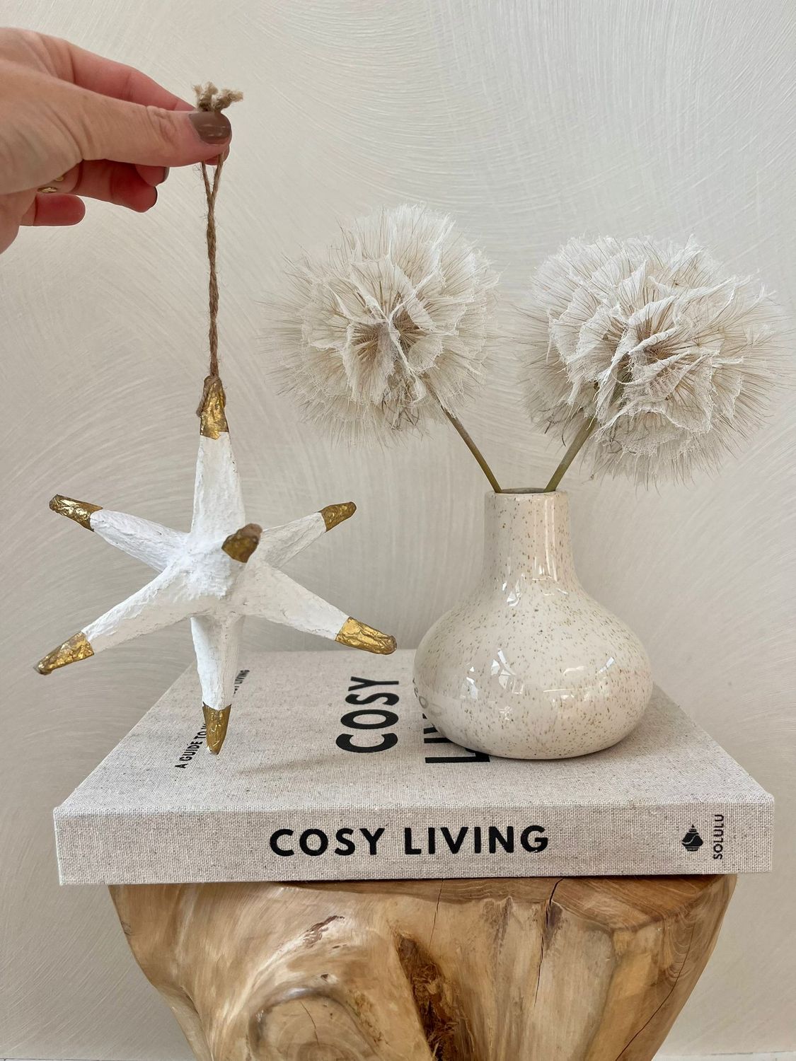 Papier maché ster