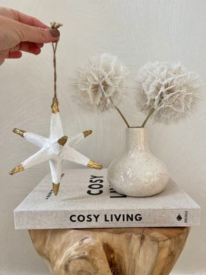 Papier maché ster