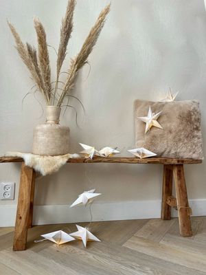 Ster slinger white met lichtjes