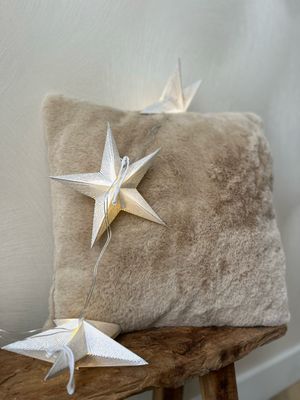 Ster slinger white met lichtjes