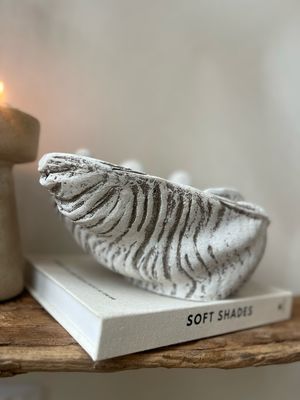 Stenen schelp schaal XL