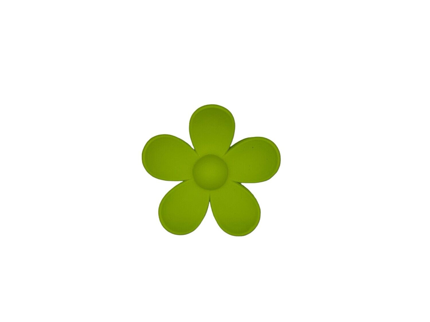 Haarklem - haarklauw - bloem - flower - groen