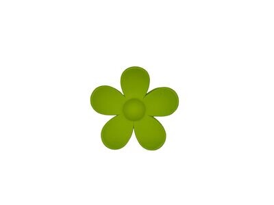 Haarklem - haarklauw - bloem - flower - groen
