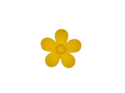 Haarklem - haarklauw - bloem - flower - geel
