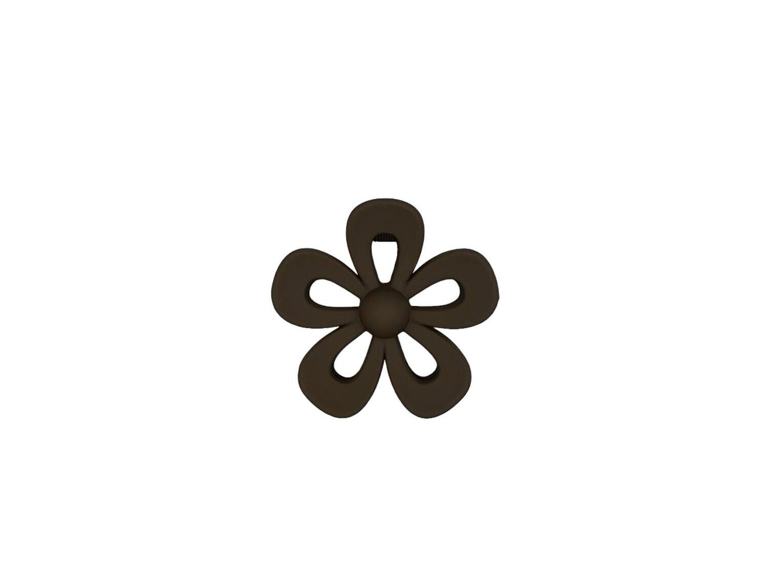 Haarklem - haarklauw - open bloem - flower - bruin