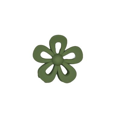 Haarklem - haarklauw - open bloem - flower - groen