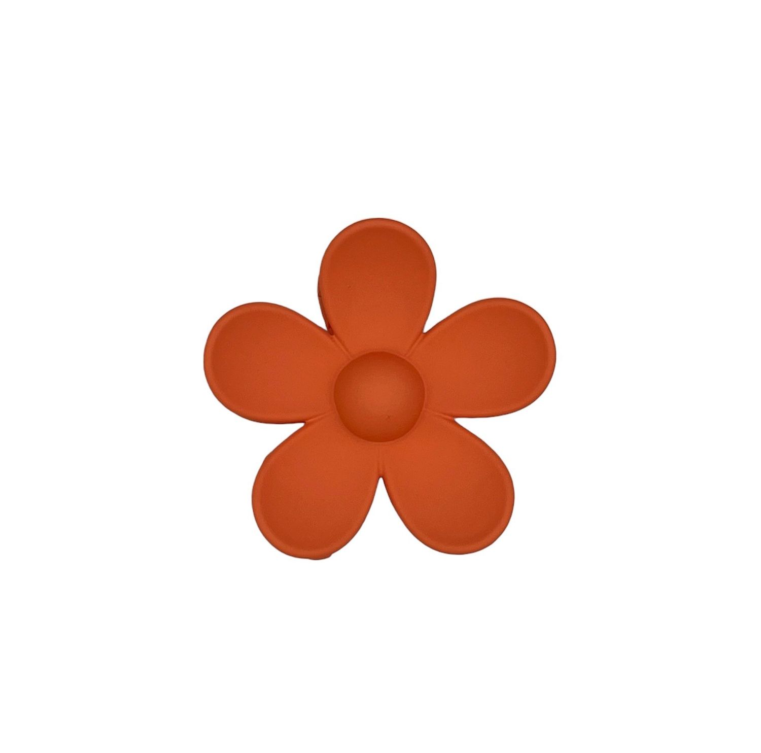 Haarklem - haarklauw - bloem - flower - oranje