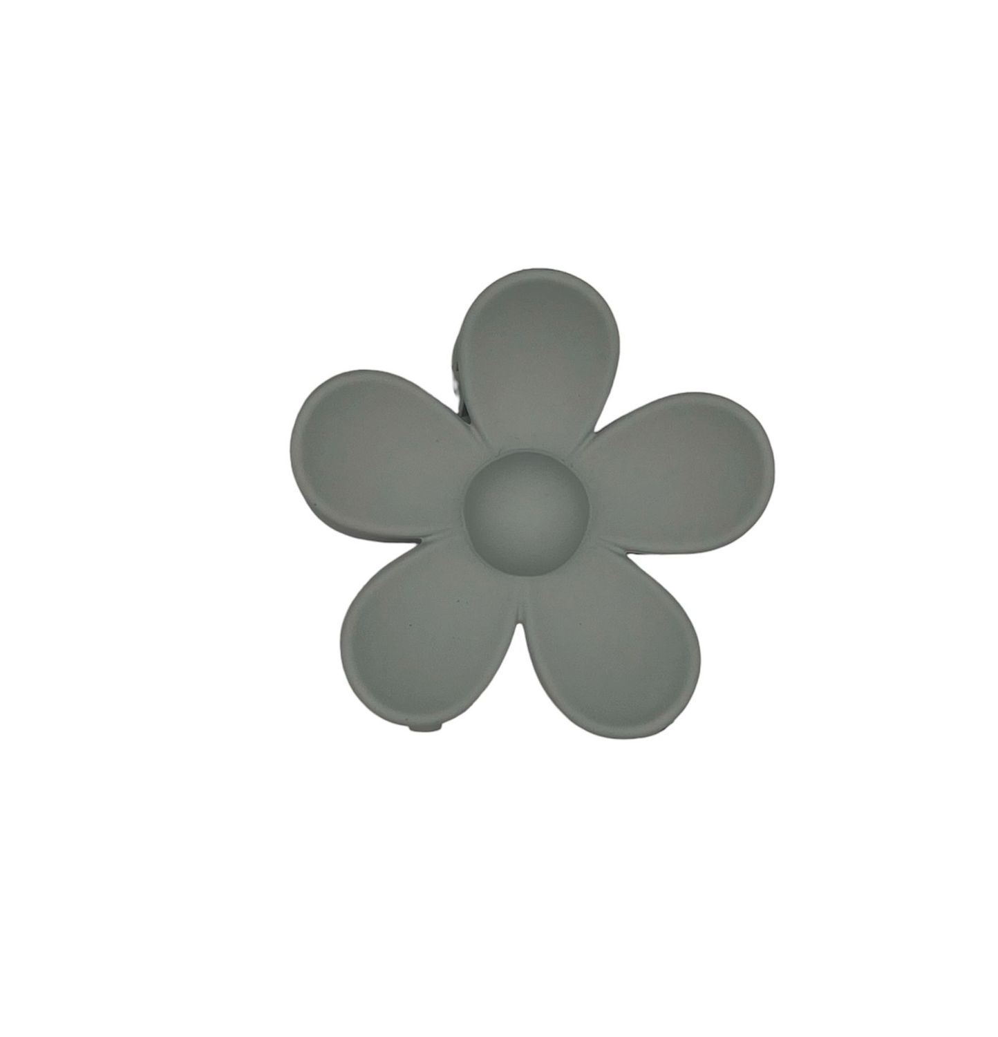 Haarklem - haarklauw - bloem - flower - grijs