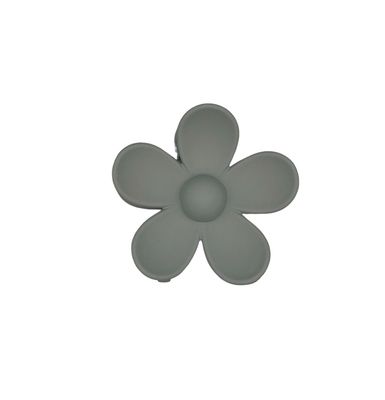 Haarklem - haarklauw - bloem - flower - grijs