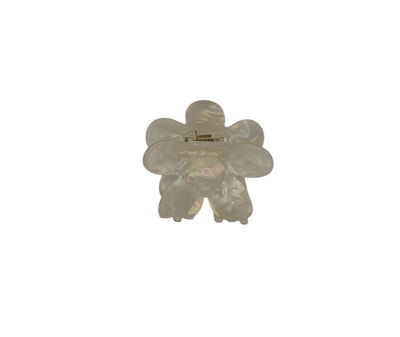 Haarklem - haarklauw - bloem - flower - wit
