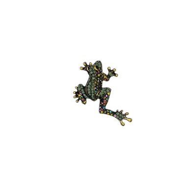 Broche - speld voor jas, sjaal of kleding - pin - mode - vrouwen - meisjes - kikker - veelkleurig