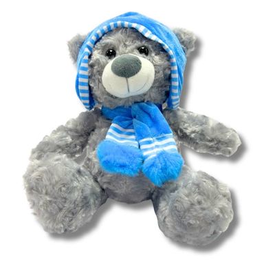 Plush Winter Teddy