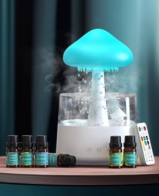 The rain cloud humidifier