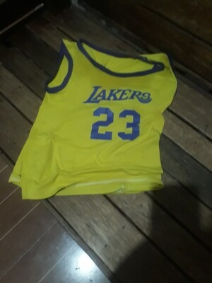 Lakers 23 Aldrich Kiel Tee Shirt