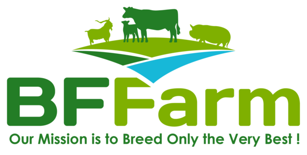 BF Farm