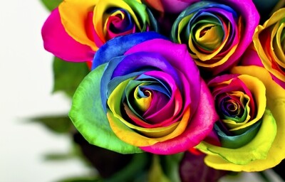 Bouquet de 6 roses arc-en-ciel
