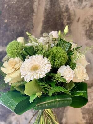 Bellissime