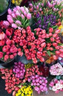 Bouquet de 10 tulipes