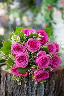 Le fushia (12 roses)