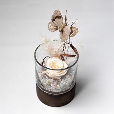 Rose éternelle crème