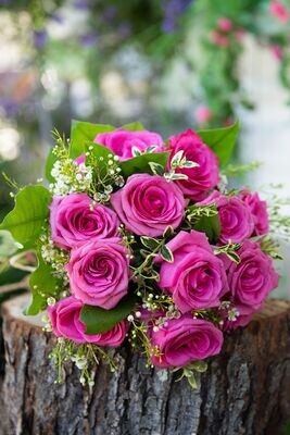 Le fushia (12 roses)