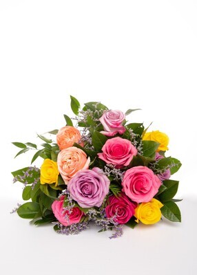 La douzaines de roses en couleurs