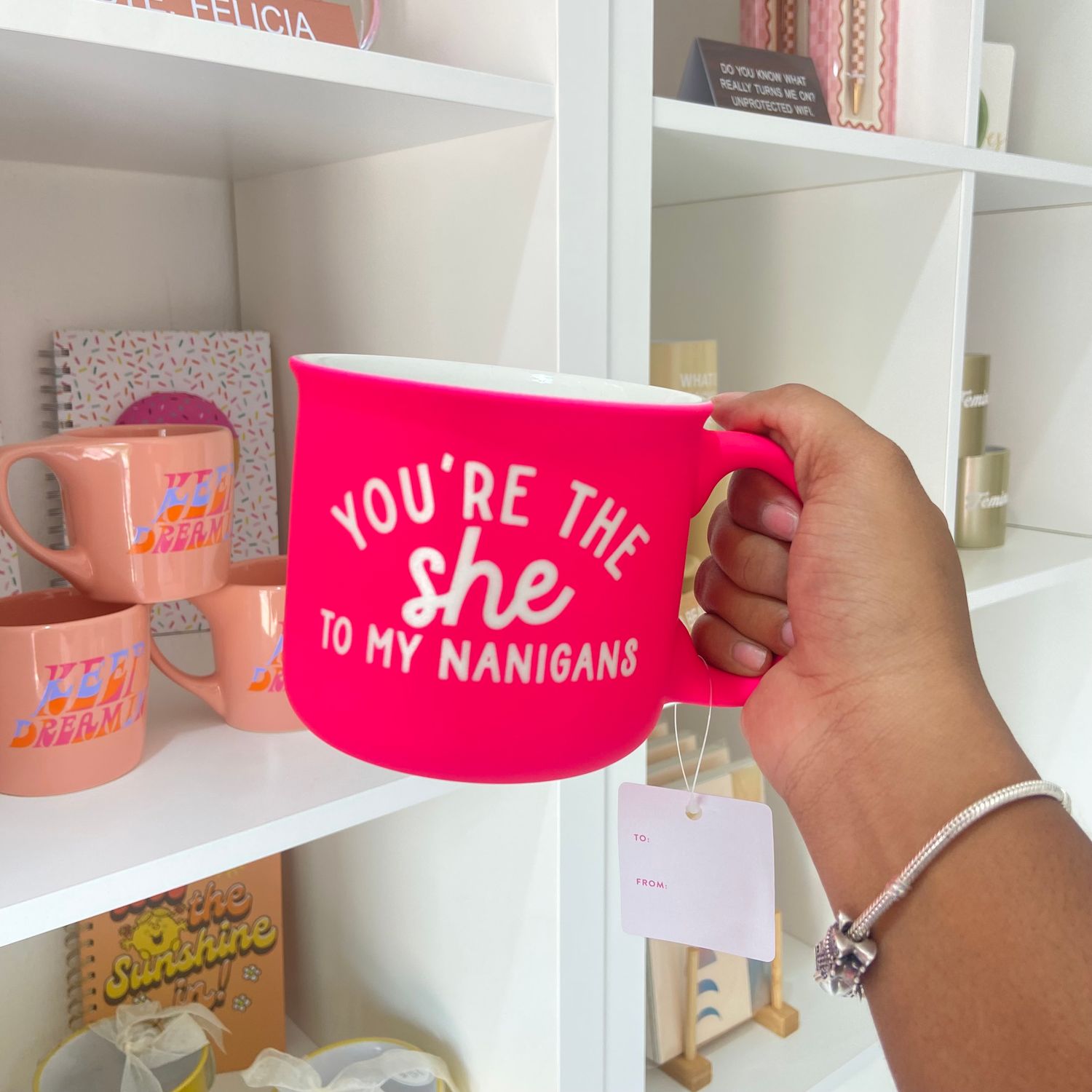 She nanigans Fabulous Mug
