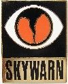 Lapel Pin -  SKYWARN