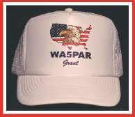 Hat - USA Outline/Flag with Eagle