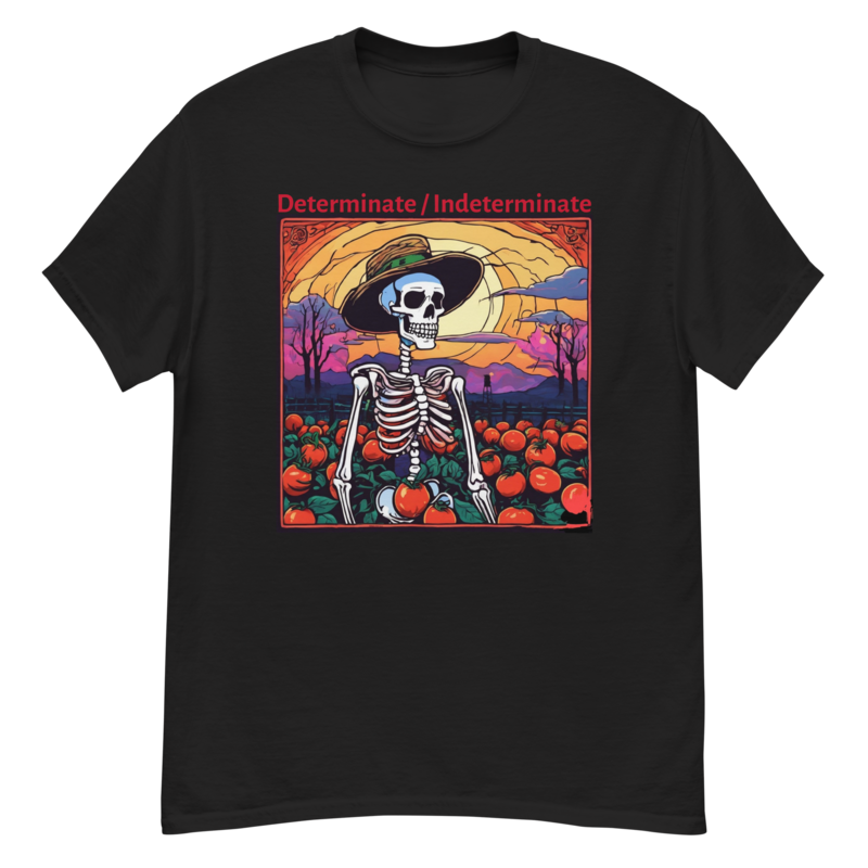 D I Men&#39;s classic tee