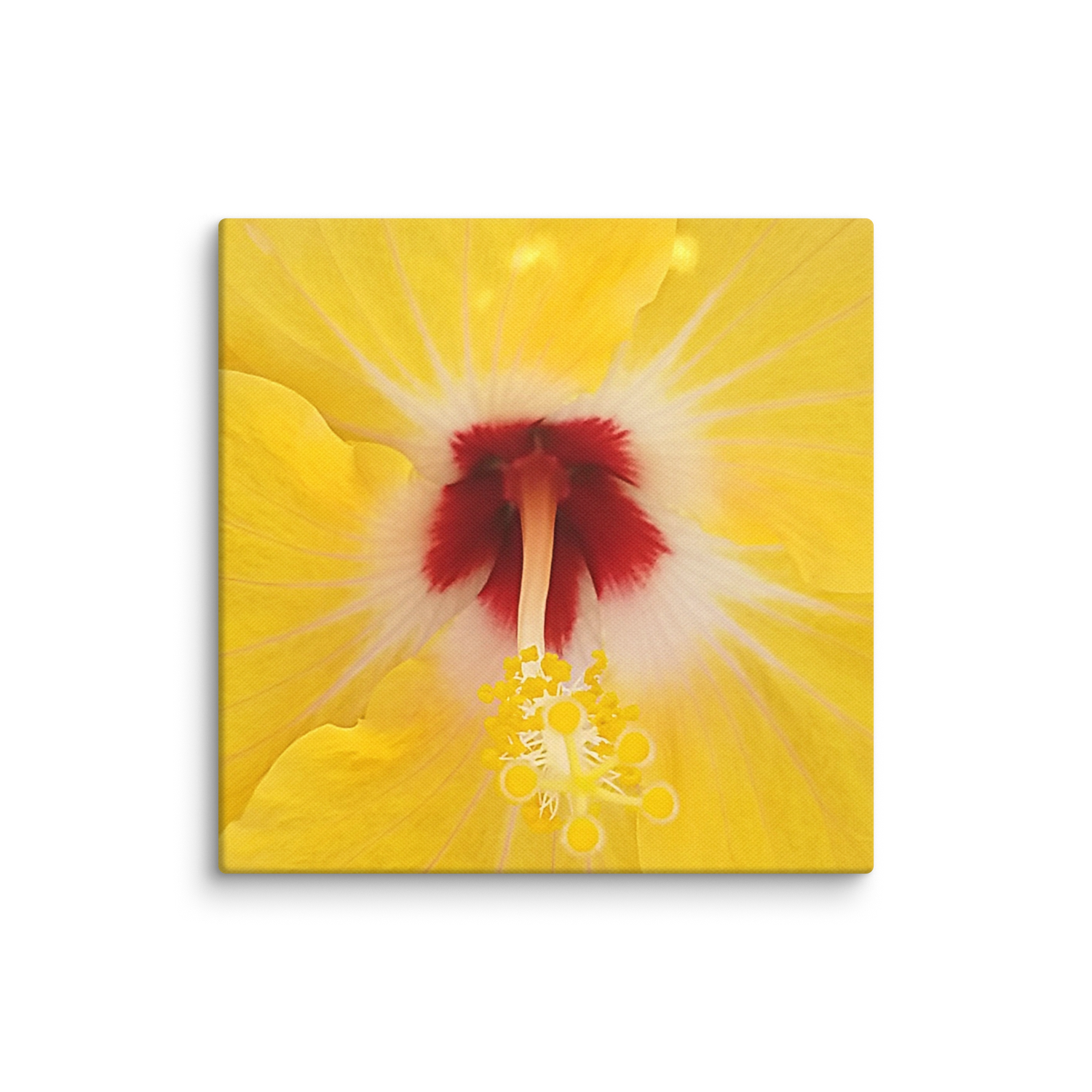 Hibiscus Flower Canvas