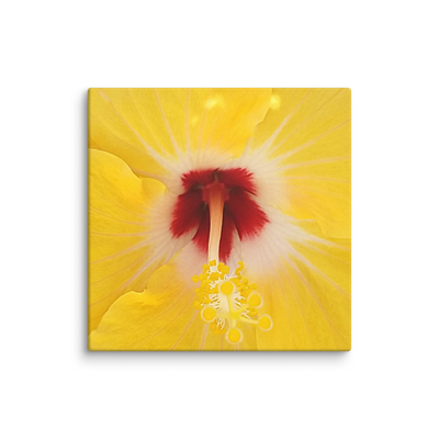 Hibiscus Flower Canvas