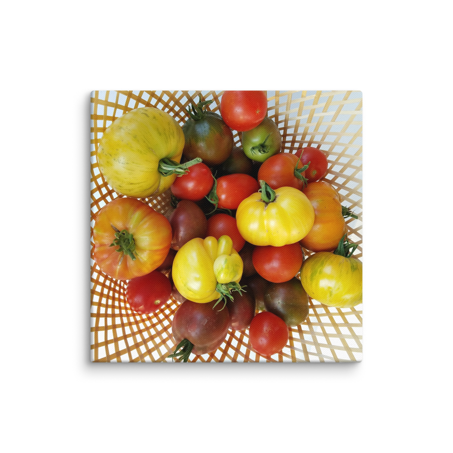 Tomato Mania Canvas