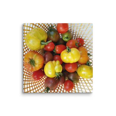 Tomato Mania Canvas