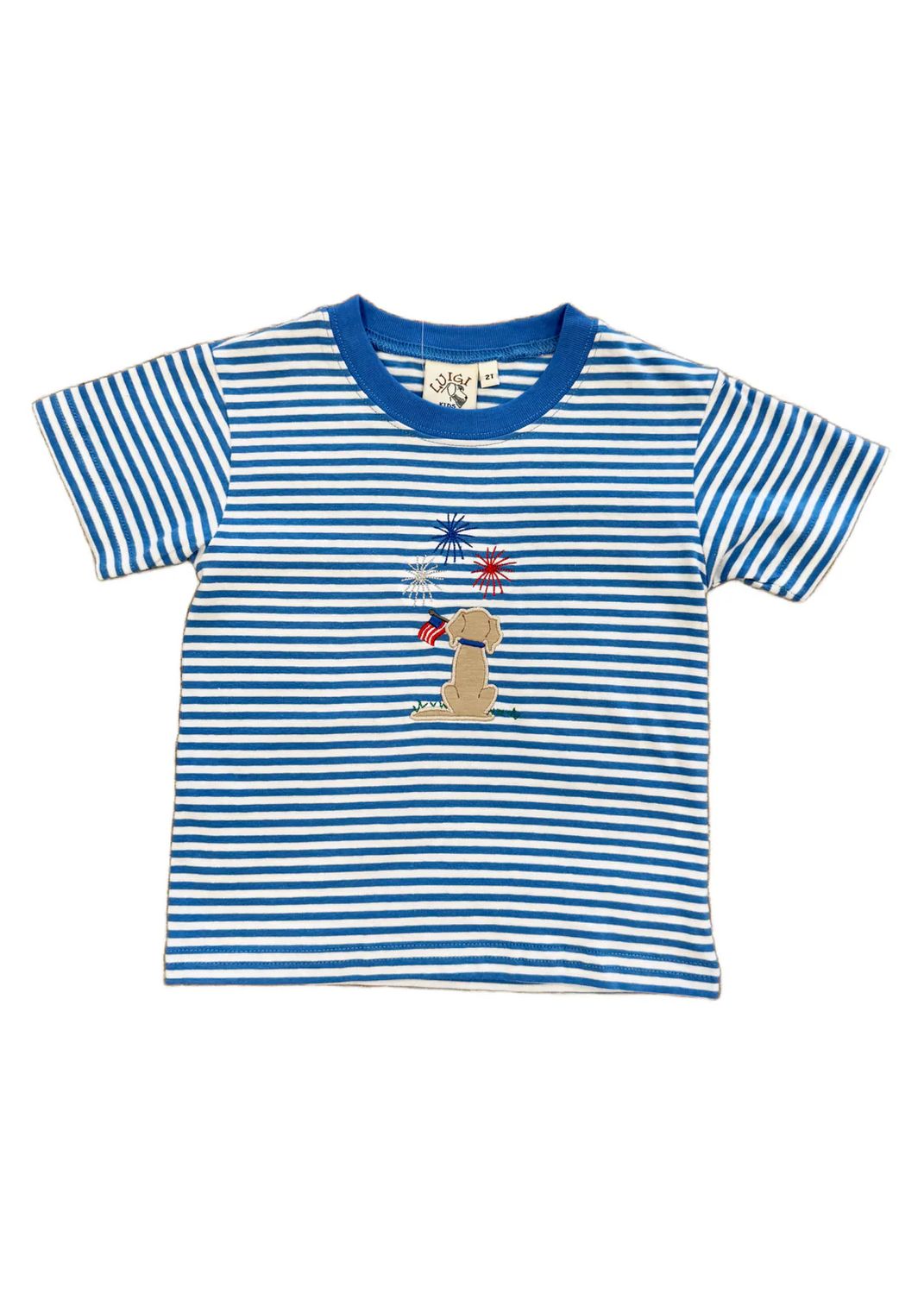 Boys Medium Blue and White Striped Short Sleeve | Lab with Flag Watching Fireworks
