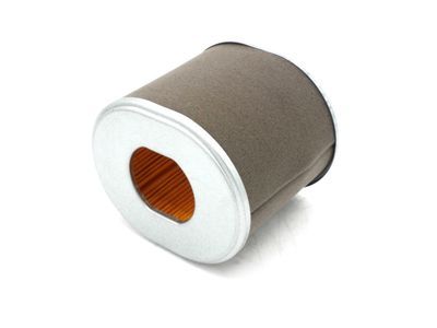 BBS434 AIR FILTER (ENGINE PART)