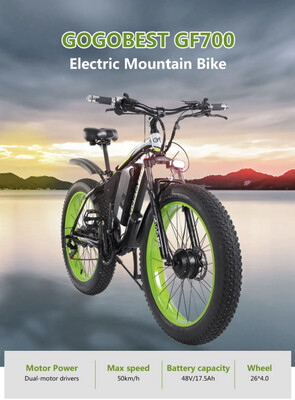 1000 watt GoGo Best GF700 electric bicycle