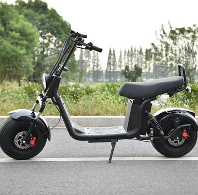 3000w EB-X20 Electric Citycoco Scooter