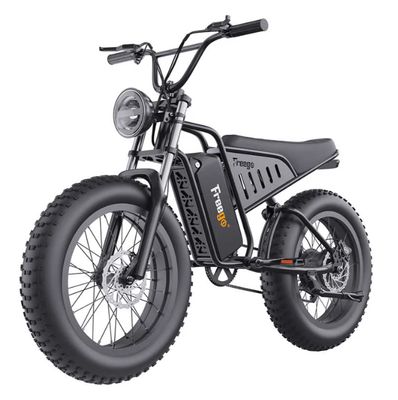 750w Nachbike Swift S1