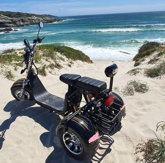 2000w Citycoco Trike 05X