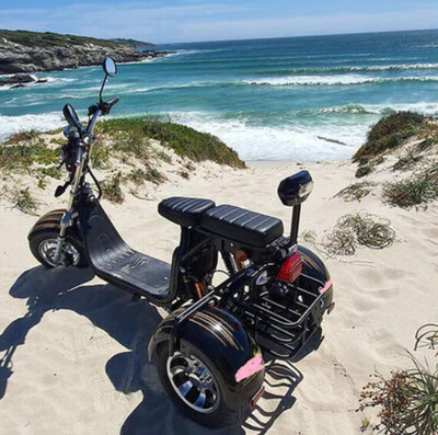 2000w Citycoco Trike 05X
