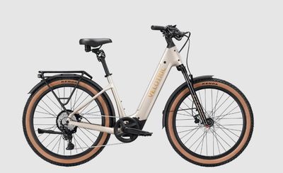 500w Discover M