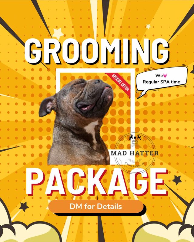 Grooming Package