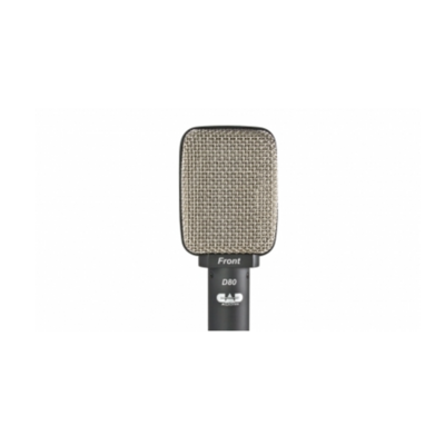 CAD D80 Guitar Cabinet Dynamic Microphone