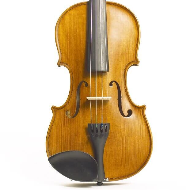 Stentor 1500 Student II Violin. 1/4