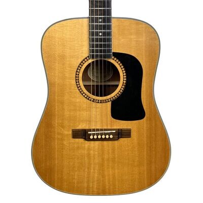 Washburn D10S Dreadnaught Acoustic Guitar (Used)