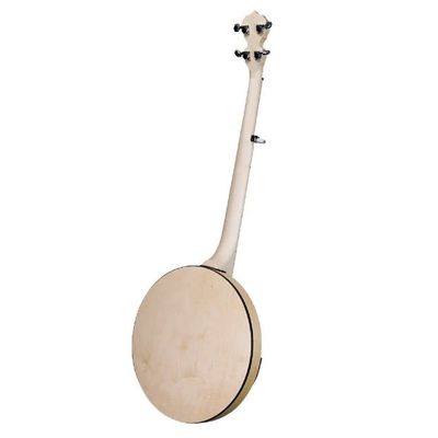 Deering Goodtime Special 5-String with Resonator