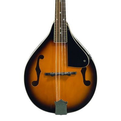 Bean Blossom BM-1 8-String 2-Color sunburst Mandolin w/HSC (Used)